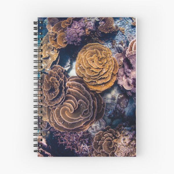Item preview, coral gardens  designed and sold by Jesshaddenphoto.