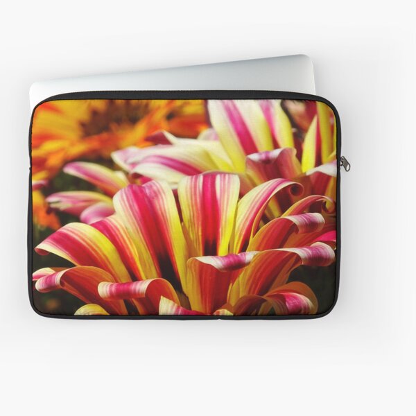 Gazania Laptop Sleeve