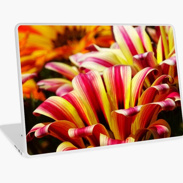 Gazania Laptop Skin