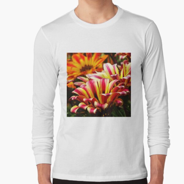 Gazania Long Sleeve T-Shirt