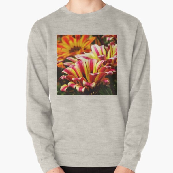 Gazania Pullover Sweatshirt