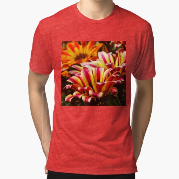 Gazania Tri-blend T-Shirt