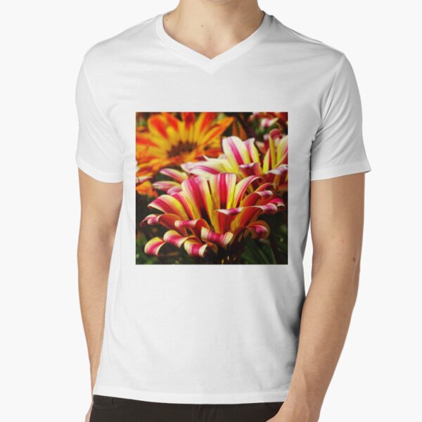 Gazania V-Neck T-Shirt