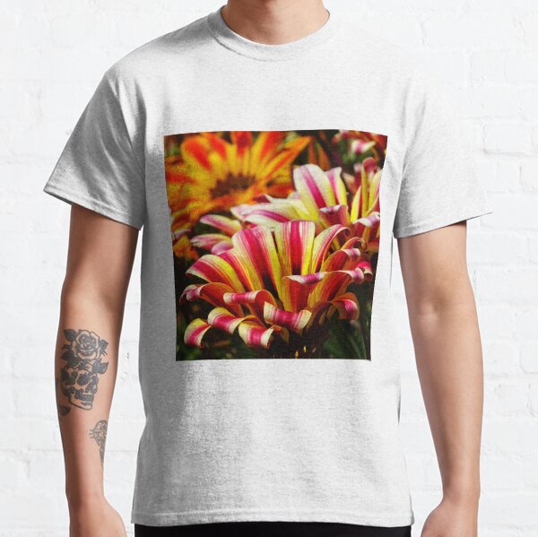 Gazania Classic T-Shirt