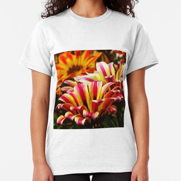 Gazania Classic T-Shirt