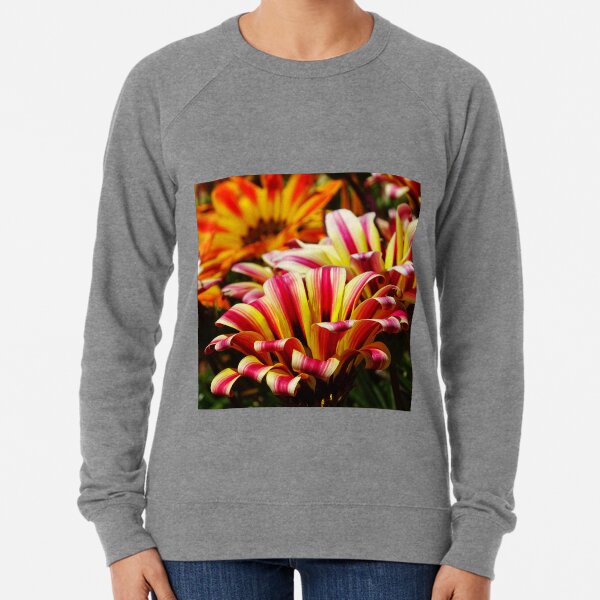 Gazania Lightweight Sweatshirt