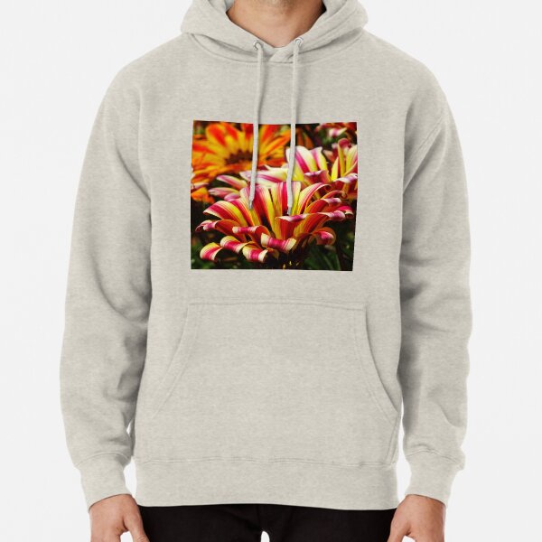 Gazania Pullover Hoodie