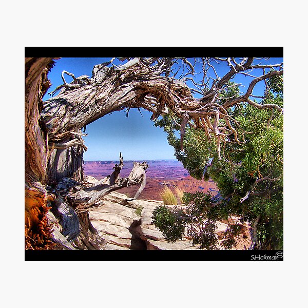 Utah Canyon Country Photographic Print