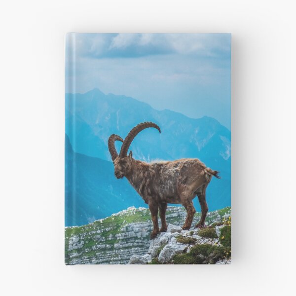 Item preview, Steinbocks in the Julian alps designed and sold by zakaz86.