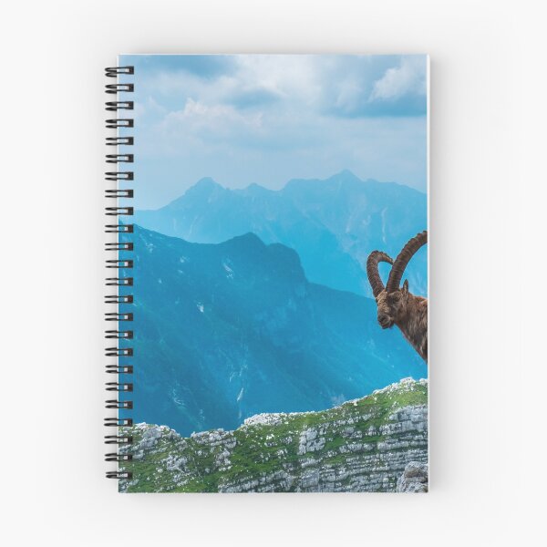 Item preview, Steinbocks in the Julian alps designed and sold by zakaz86.