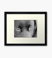 Charcoal Road Framed Print