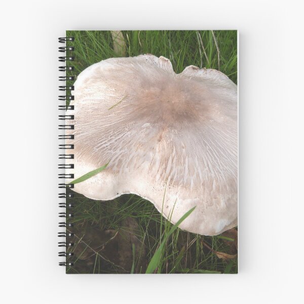 Item preview, A Tasty Mushroom for Breakfast. Adelaide Hills, South Australia.  designed and sold by RitaBlom.