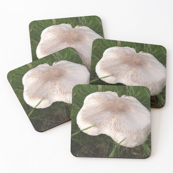 Item preview, A Tasty Mushroom for Breakfast. Adelaide Hills, South Australia.  designed and sold by RitaBlom.