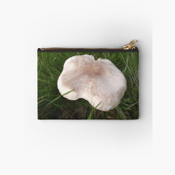 Item preview, A Tasty Mushroom for Breakfast. Adelaide Hills, South Australia.  designed and sold by RitaBlom.
