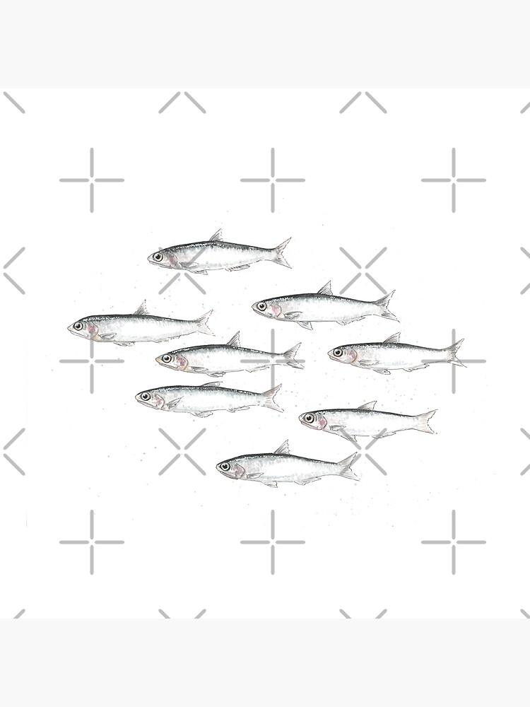 "Anchovies Watercolour" Throw Pillow by RachelCroft Redbubble