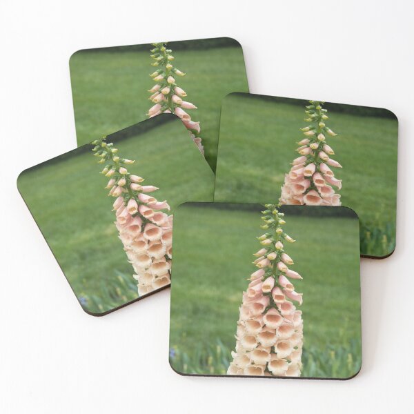 Item preview, Foxglove Outdoors in the Sunshine designed and sold by Allen Penton.