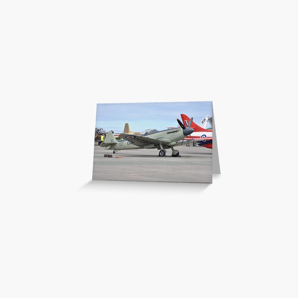 Item preview, seafire designed and sold by imageworld.