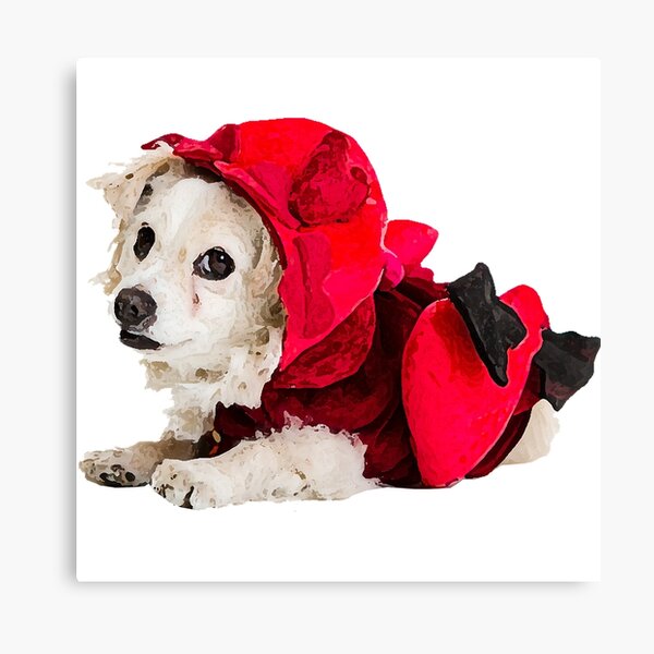Frohen Valentinstag! Hund "Dio" im Amor-Kostüm - Glaube und Wahrheit Leinwanddruck