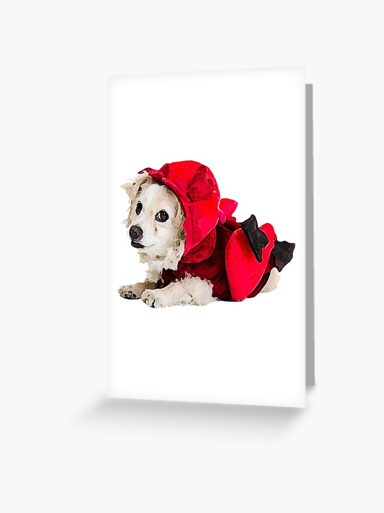 Cupid hotsell dog costume