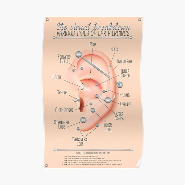 Ear Piercing Chart Poster