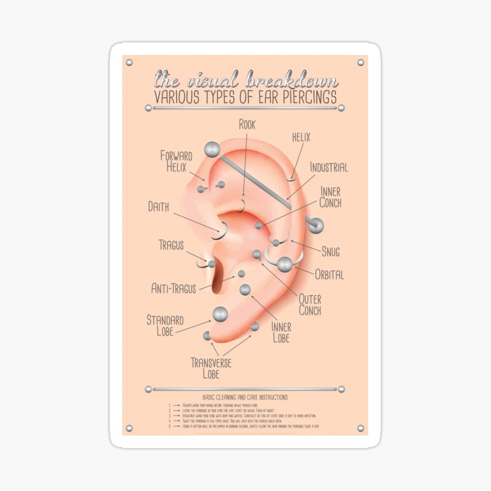 Ear Piercing Chart Poster