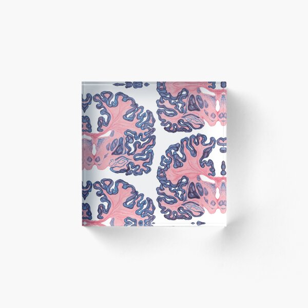 Gyri and Swirls of Human Brain Acrylic Block