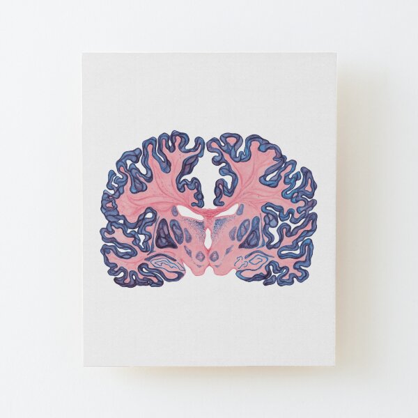 Gyri and Swirls of Human Brain Wood Mounted Print