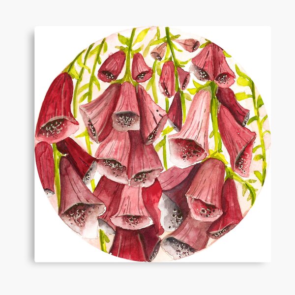 Watercolor Flowers in a circle - foxgloves Canvas Print