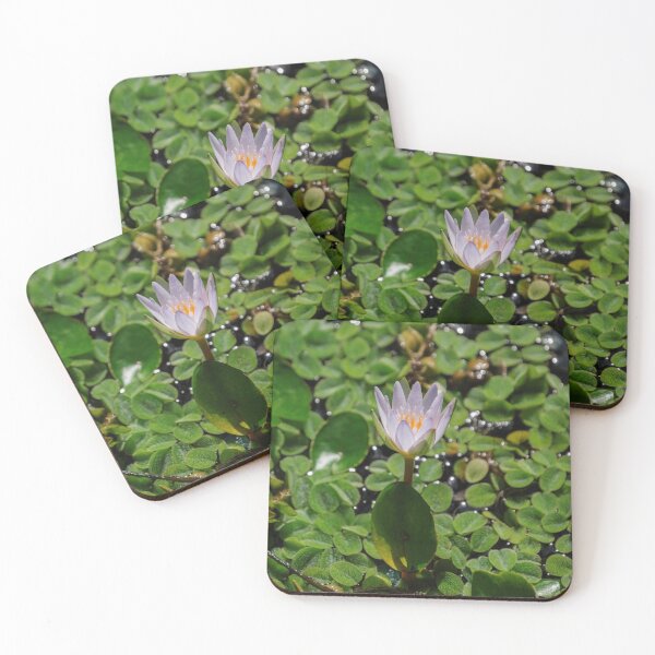 Item preview, Tropical Water Lily Flower Nymphaea Daubenyana designed and sold by Chee Sim.