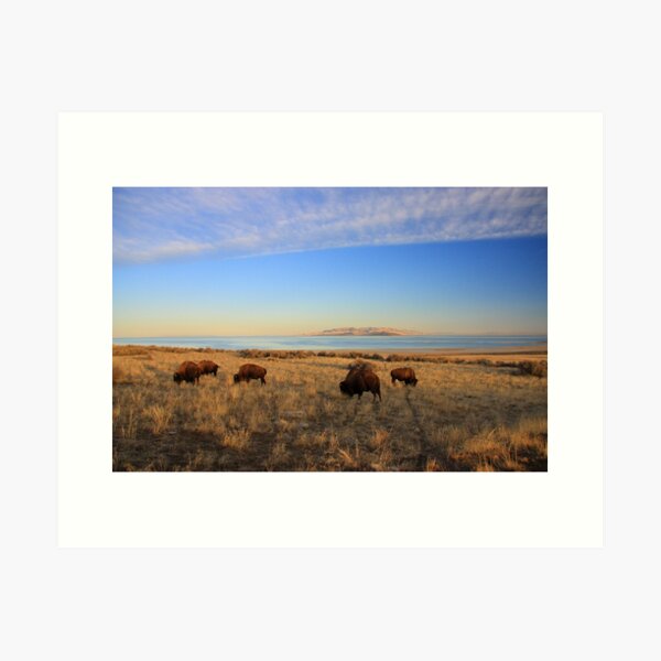 Item preview, Where The Buffalo Roam designed and sold by Gene Praag.