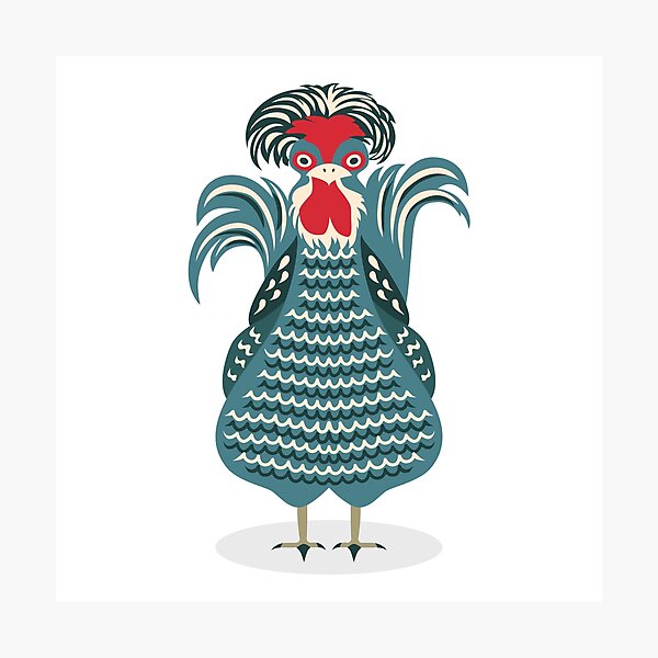 Cute Chicken Photographic Print