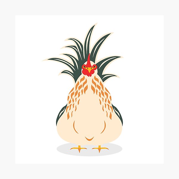 Cute Chicken Photographic Print