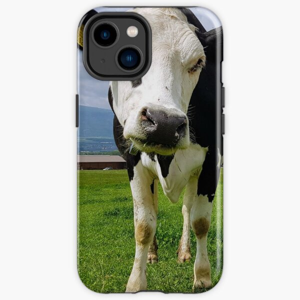 Cows iPhone Tough Case