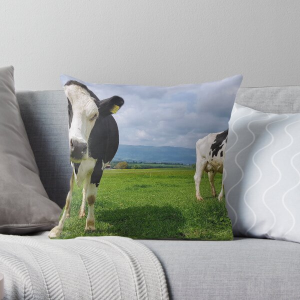 Cows Throw Pillow
