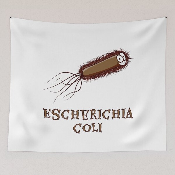 Item preview, Escherichia coli biology bacterium intestine gift designed and sold by Weilichesmag.