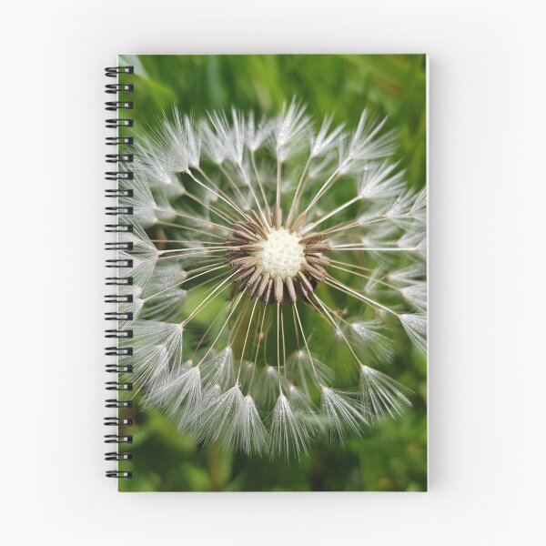 Item preview, Dandelion designed and sold by Yann Roulet.