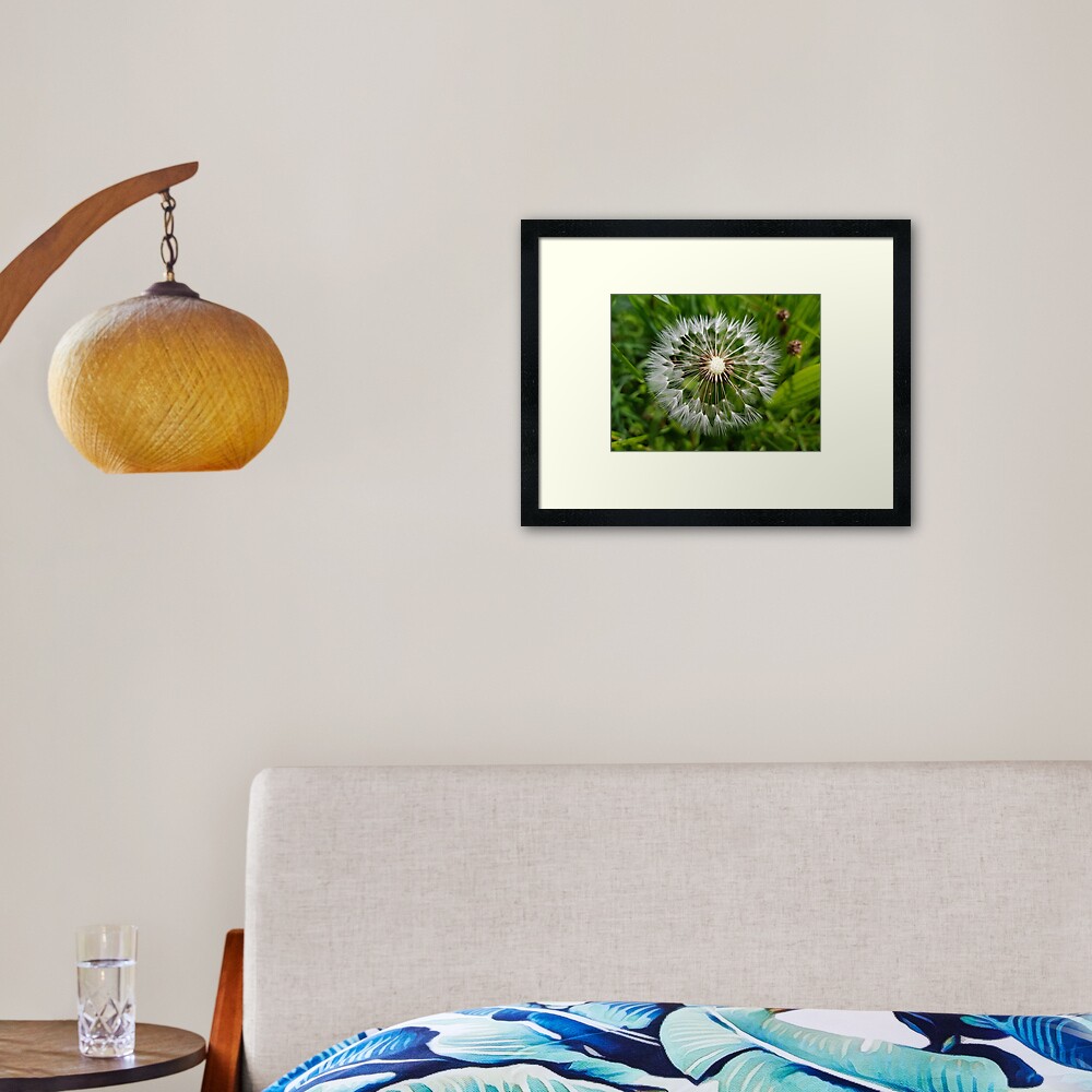 Dandelion Framed Art Print