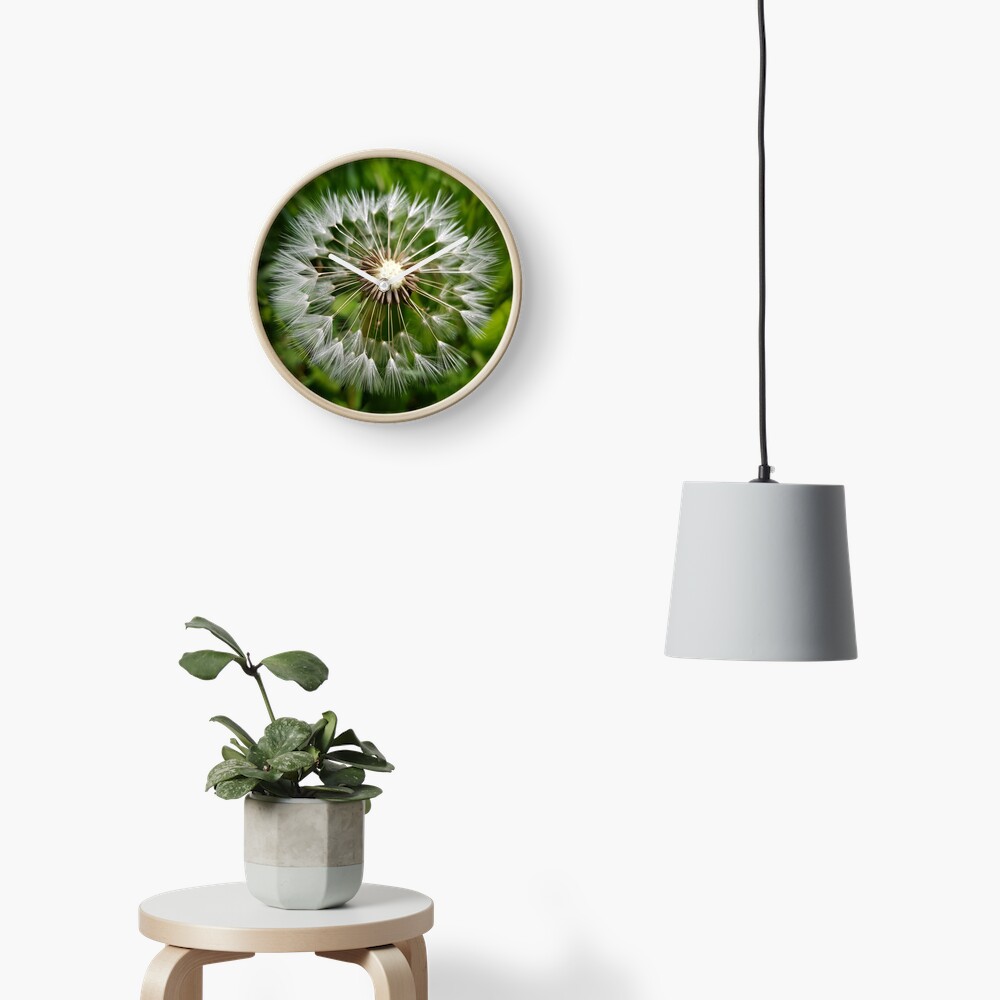 Dandelion Clock