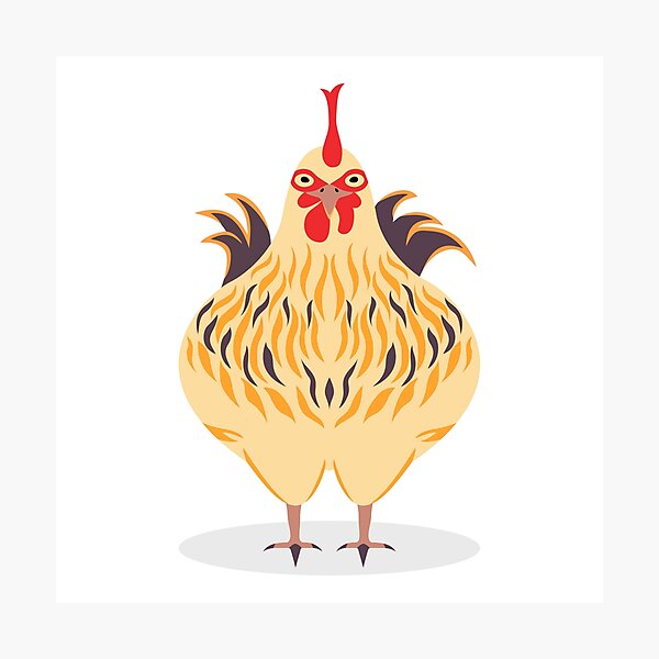 Cute Chicken Photographic Print