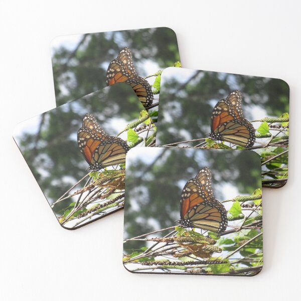 Item preview, Monarch butterfly before flying in search of sun By Yannis Lobaina designed and sold by Yannis Lobaina Art .