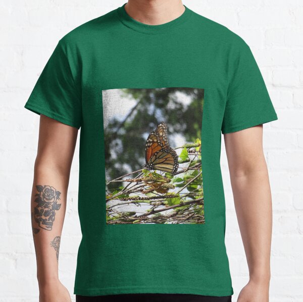 Monarch butterfly before flying in search of sun By Yannis Lobaina Classic T-Shirt