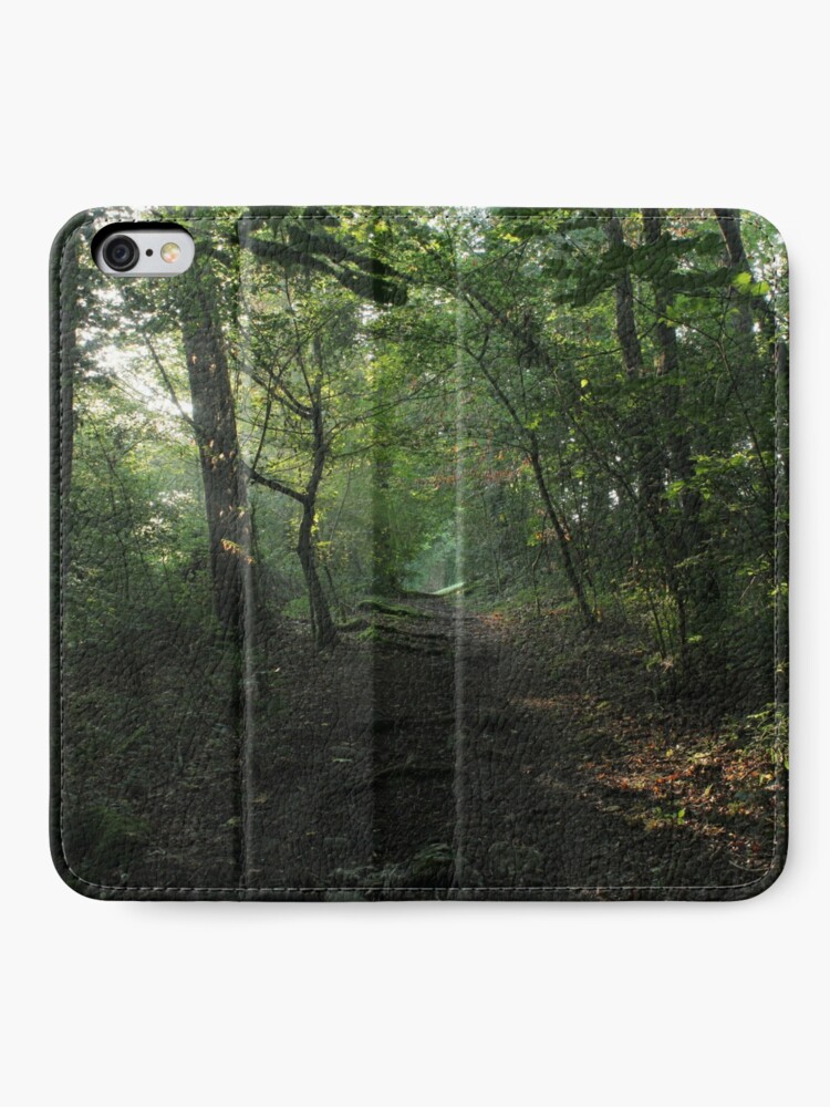 Alternate view of One Way iPhone Wallet
