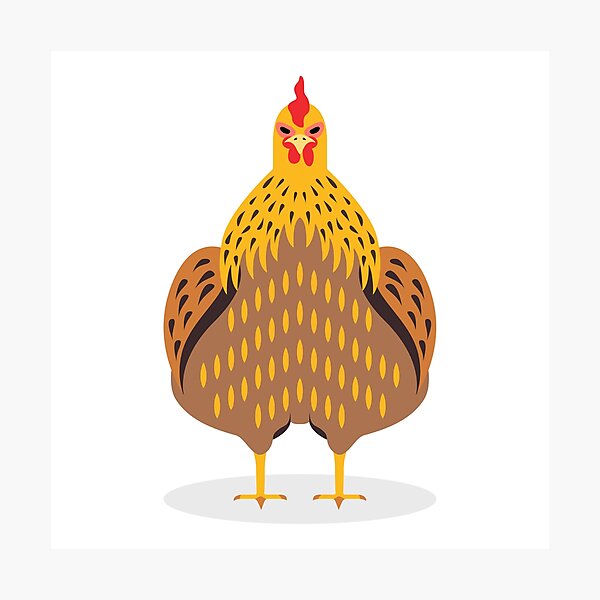 Cute Chicken Photographic Print
