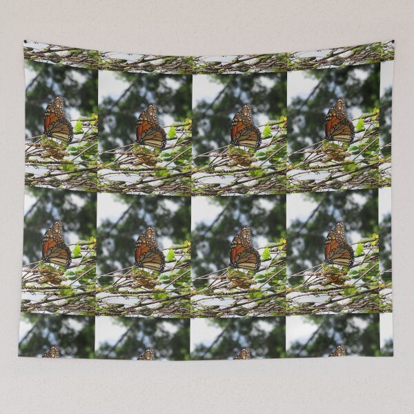 Item preview, Monarch butterfly before flying in search of sun By Yannis Lobaina designed and sold by Yannis Lobaina Art .