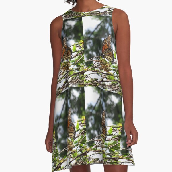 Monarch butterfly before flying in search of sun By Yannis Lobaina A-Line Dress