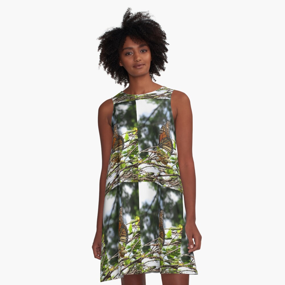 Monarch butterfly before flying in search of sun By Yannis Lobaina A-Line Dress