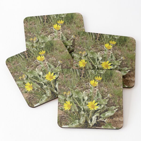 Item preview, Arrow Leaf Balsamroot - Black Canyon Of The Gunnison National Park designed and sold by jtrommer.