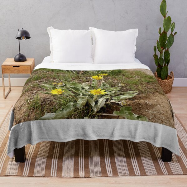 Item preview, Arrow Leaf Balsamroot - Black Canyon Of The Gunnison National Park designed and sold by jtrommer.