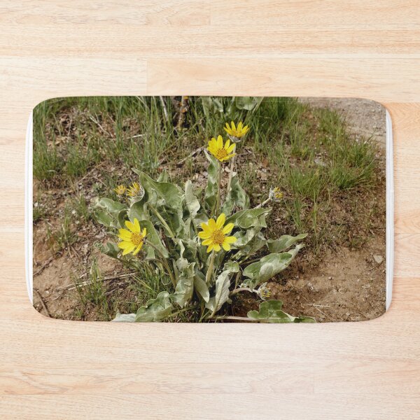 Item preview, Arrow Leaf Balsamroot - Black Canyon Of The Gunnison National Park designed and sold by jtrommer.