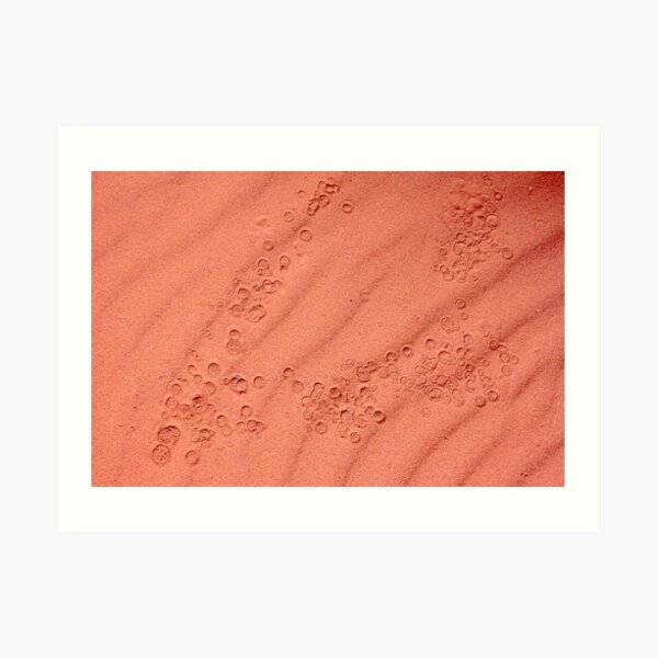 deserted drops on lunar ground Art Print